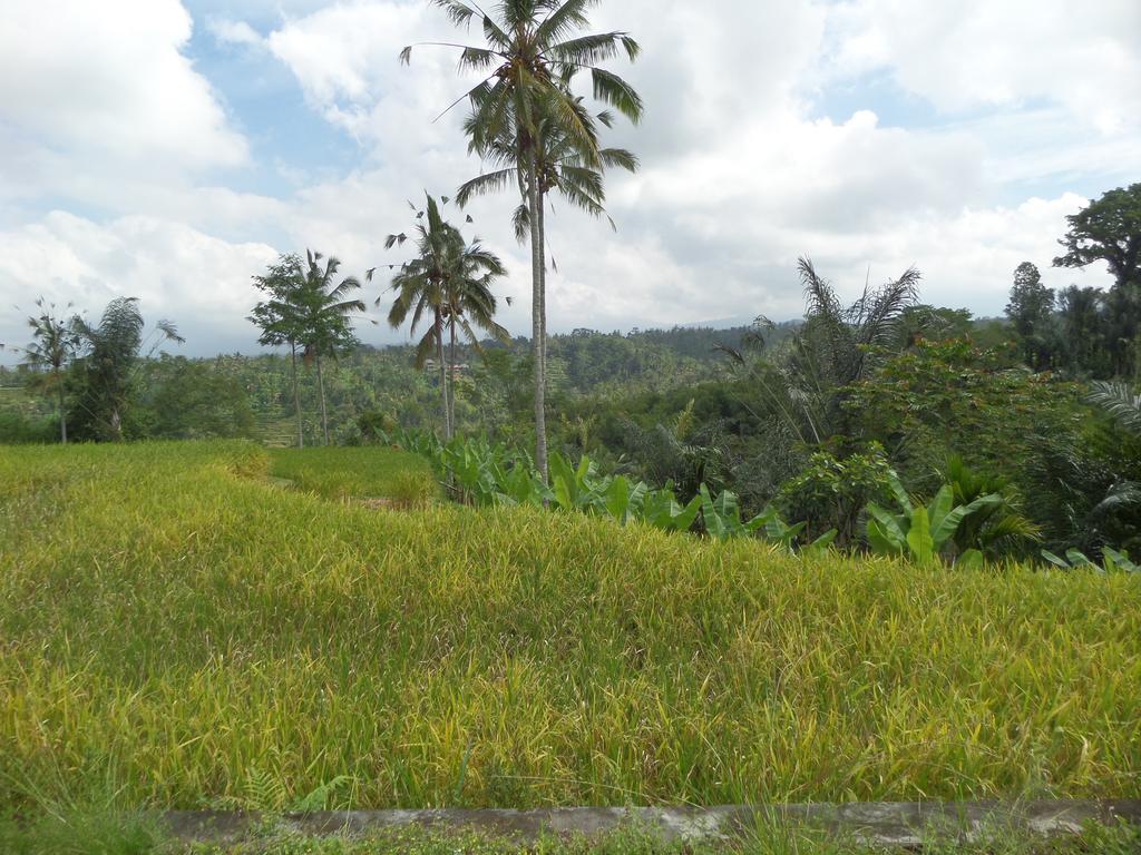 Senetan Villas&Spa Resort Ubud Exterior foto