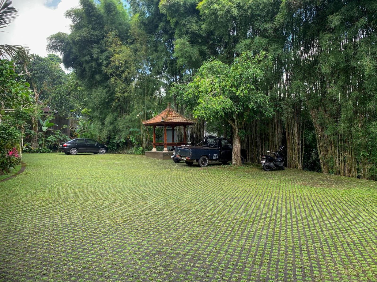 Senetan Villas&Spa Resort Ubud Exterior foto